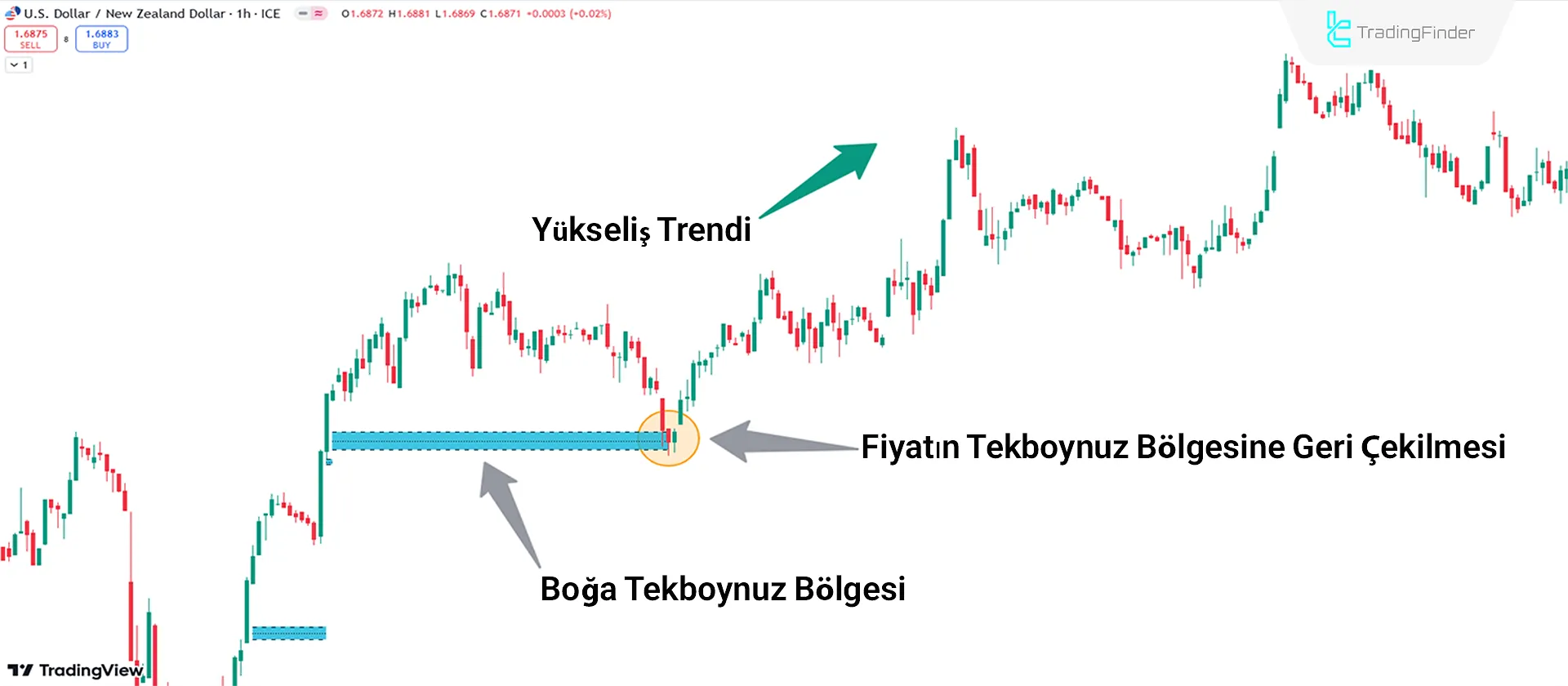 Yükseliş Unicorn Bölgesi Örneği