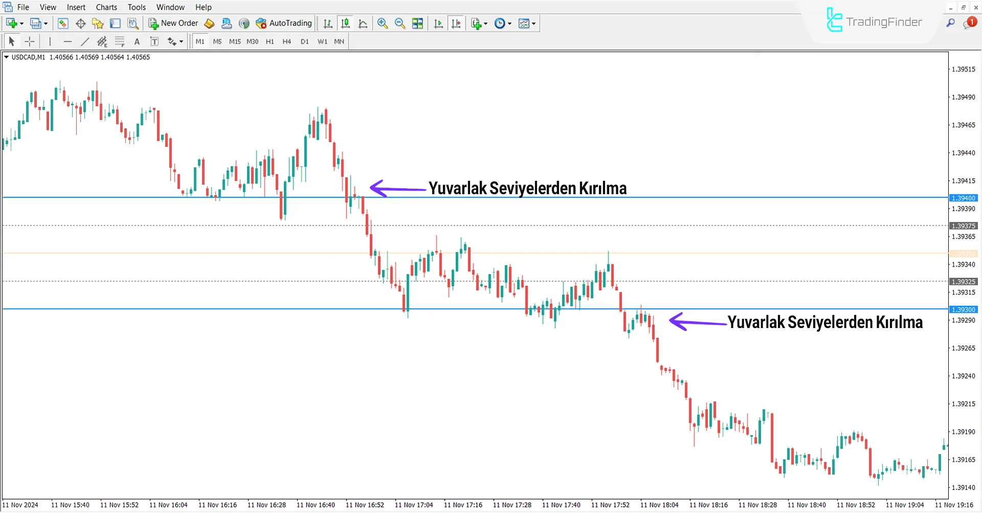 Ayıların Trend Koşulları