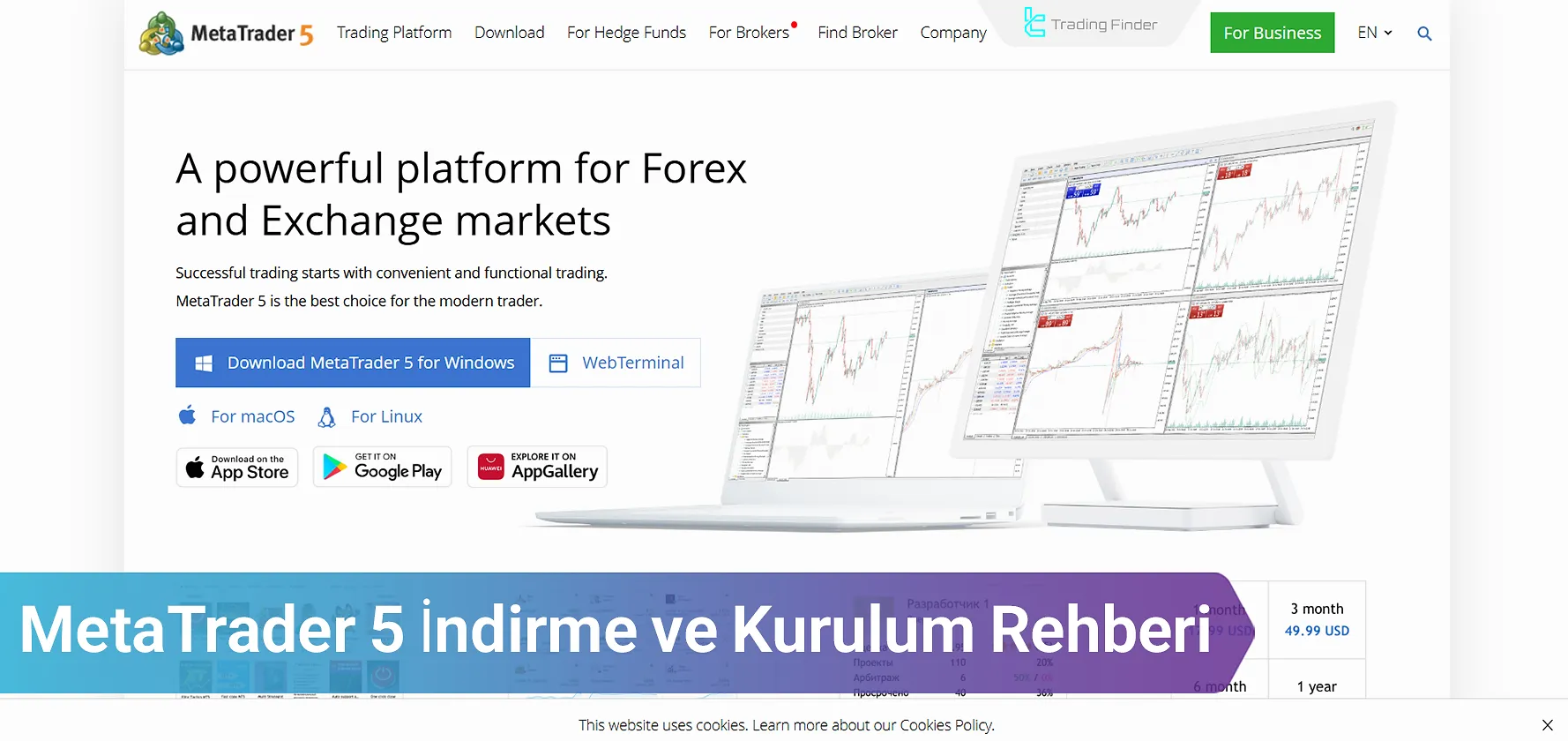 MetaTrader 5 indir