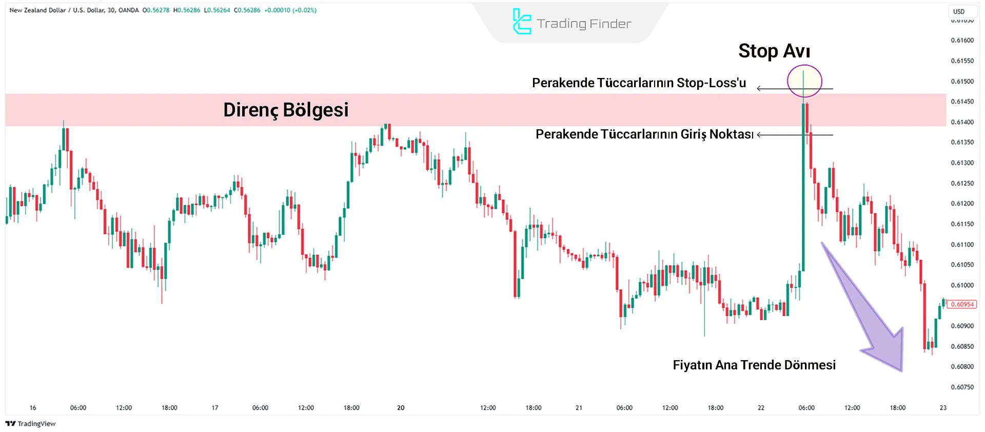 Stop Hunting'de Ana Dönüş Noktalarını Tanımlama