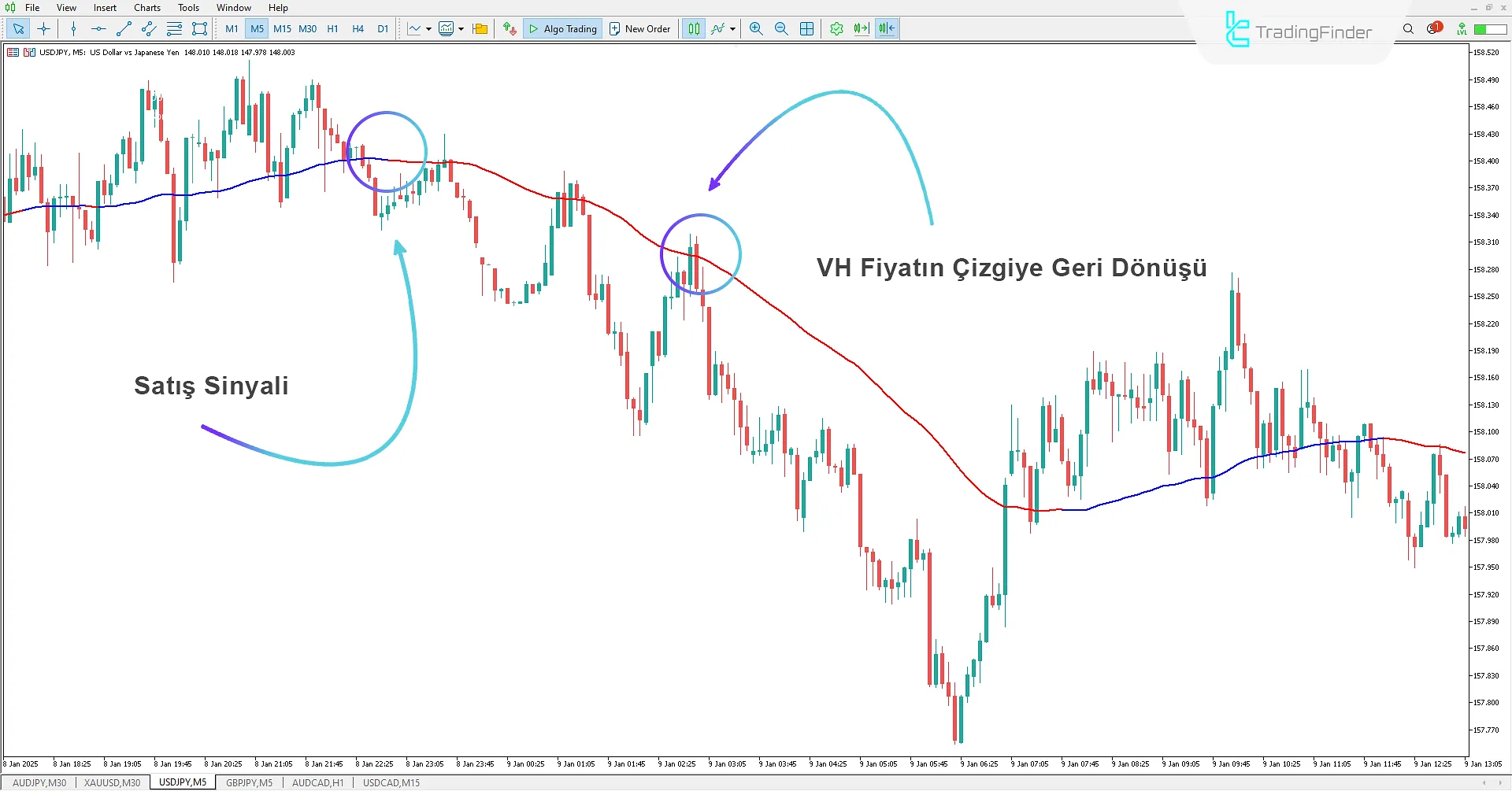 VH Göstergesini Kullanarak Ayı Trendini Belirleme
