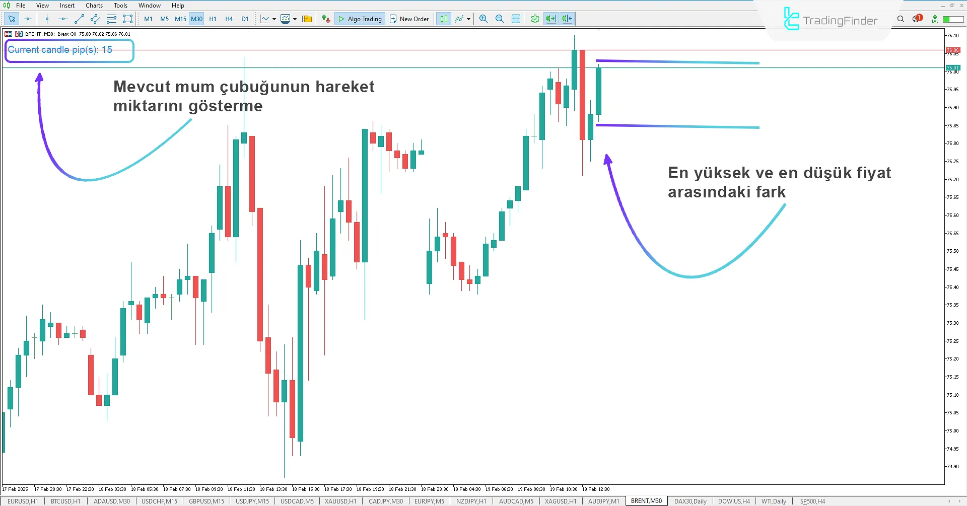 Mevcut Mum (SCC) Göstergesi MetaTrader 5 İndir - Ücretsiz -TradingFinder 1