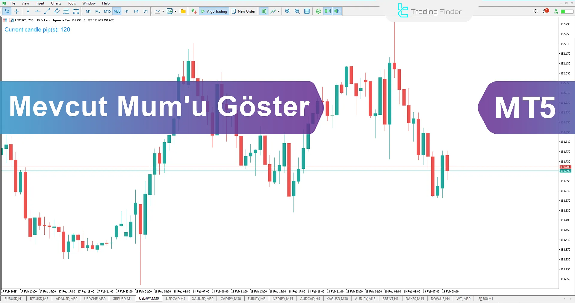 Mevcut Mum (SCC) Göstergesi MetaTrader 5 İndir - Ücretsiz -TradingFinder