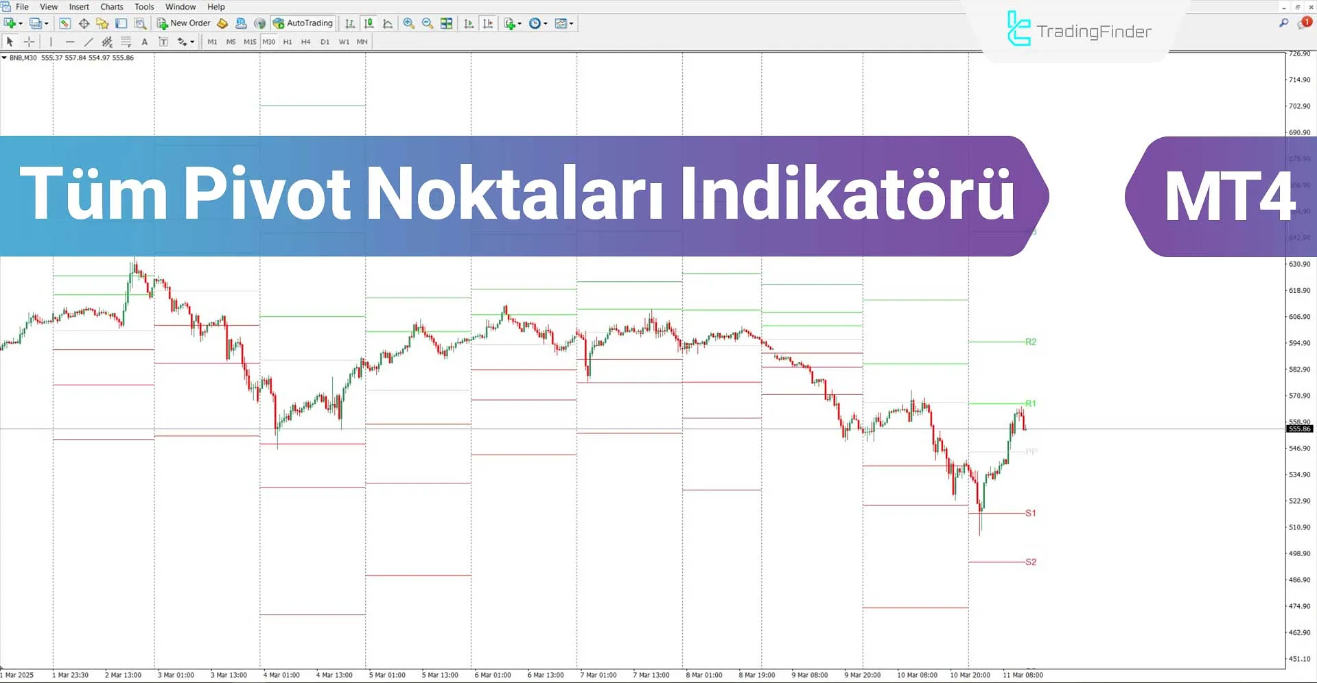 Tüm Pivot Noktaları Göstergesi MT4 İçin İndirme - Ücretsiz - [TFlab]
