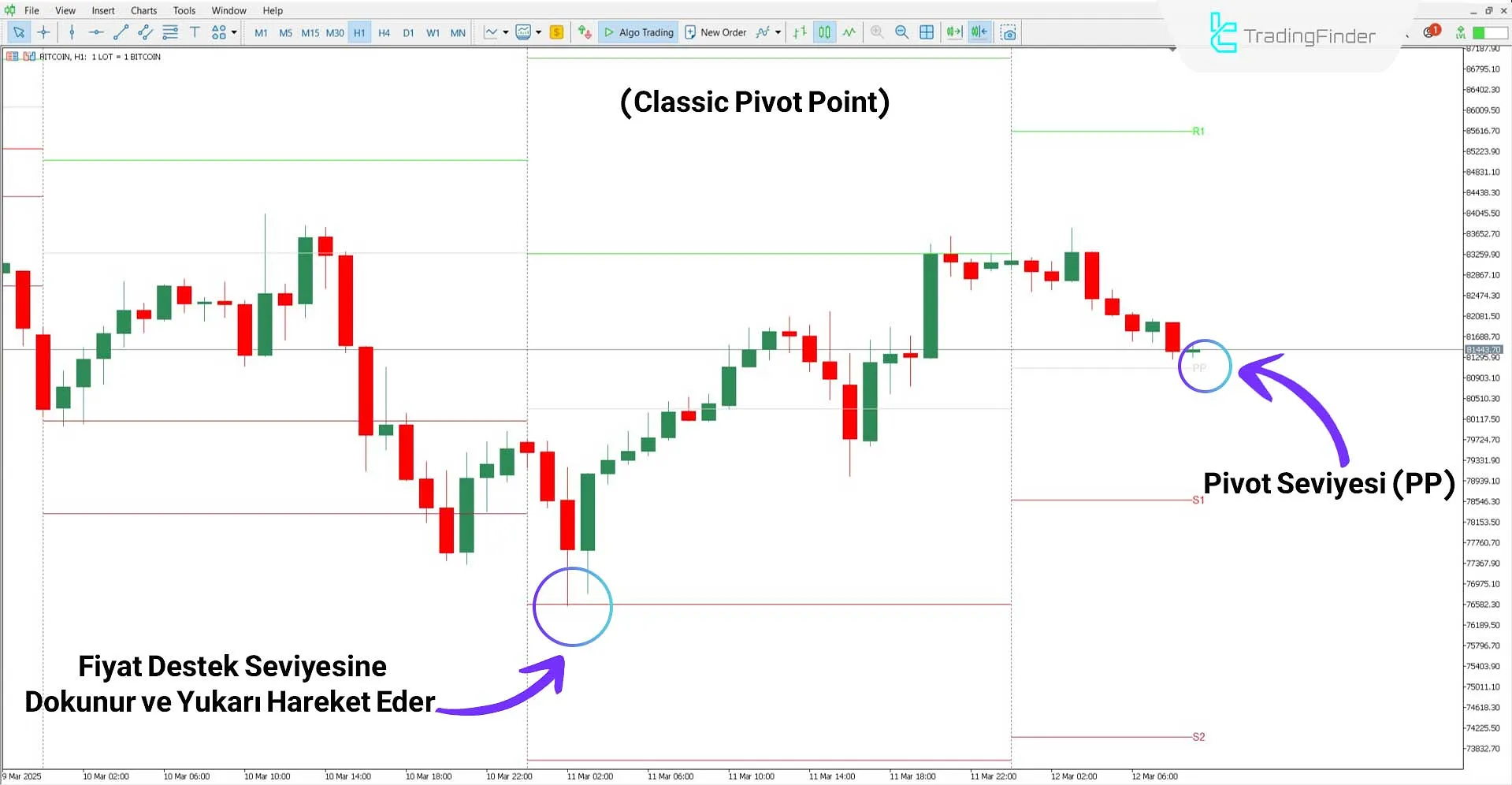 Tüm Pivot Noktaları Göstergesi MT5 İçin İndirme - Ücretsiz - [TFlab] 1