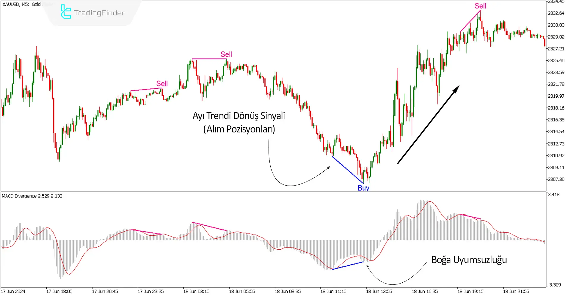 MACD Divergence Göstergesi MT5 için İndir - Ücretsiz - [TradingFinder] 2