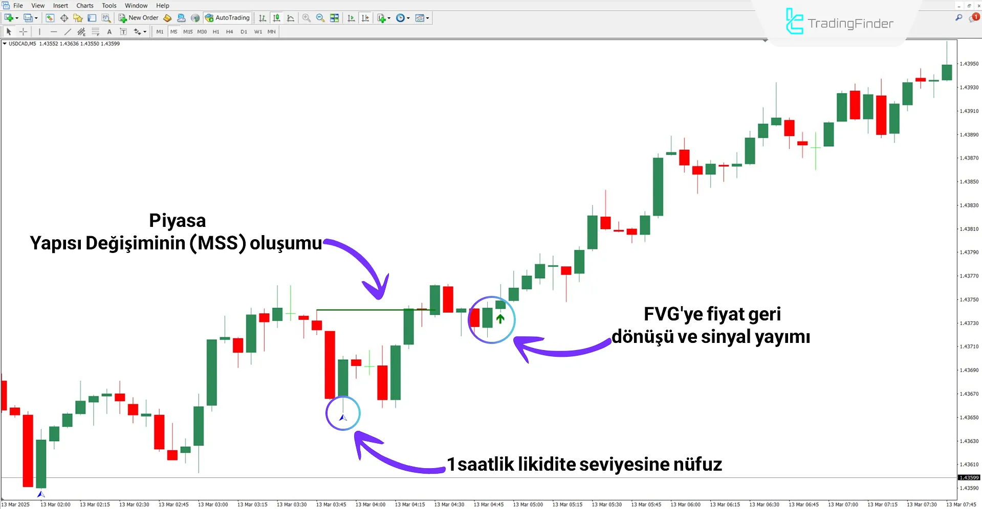 Yükselen trendde Son Model İndikatörü