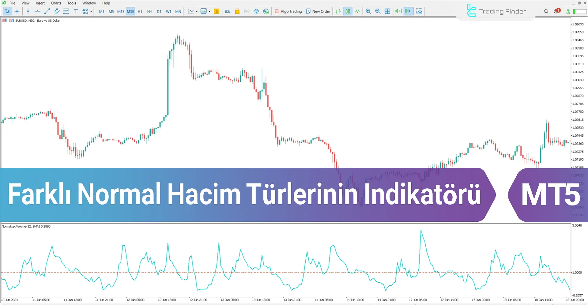 Farklı normal hacim türlerinin Göstergesi MT5 İndir - [TradingFinder]