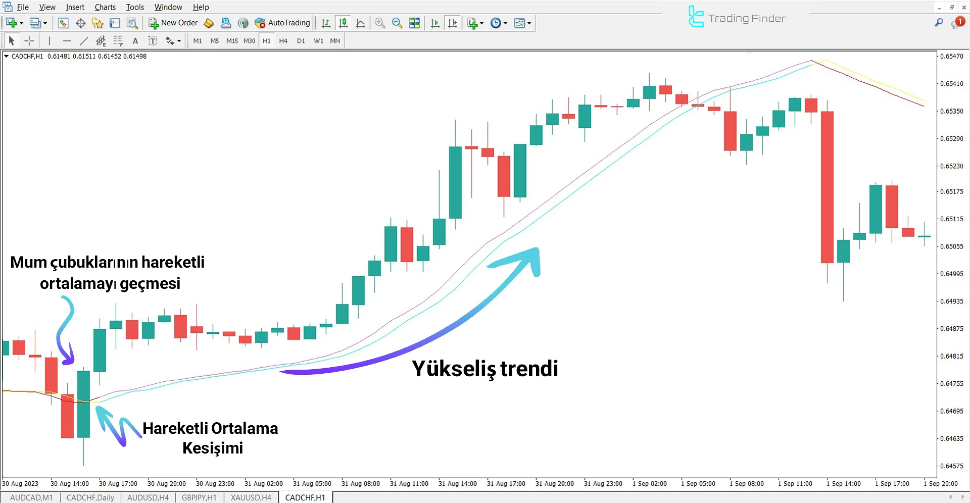 Trigger Lines Göstergesi Yükseliş Trendinde