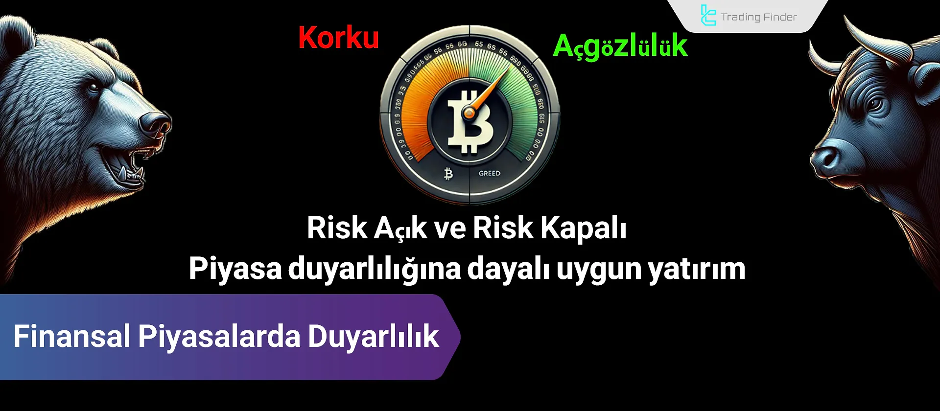 Finansal Piyasalarda sentiment