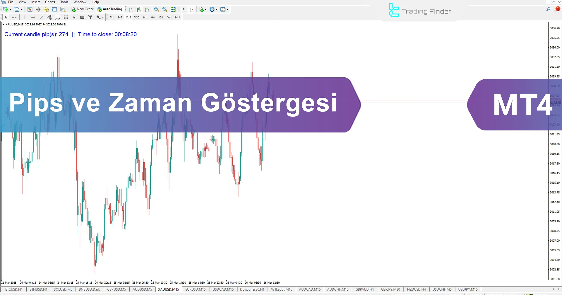 Pip ve Zaman Gösterge İndikatörü MT4 için İndir – Ücretsiz – [TradingFinder]