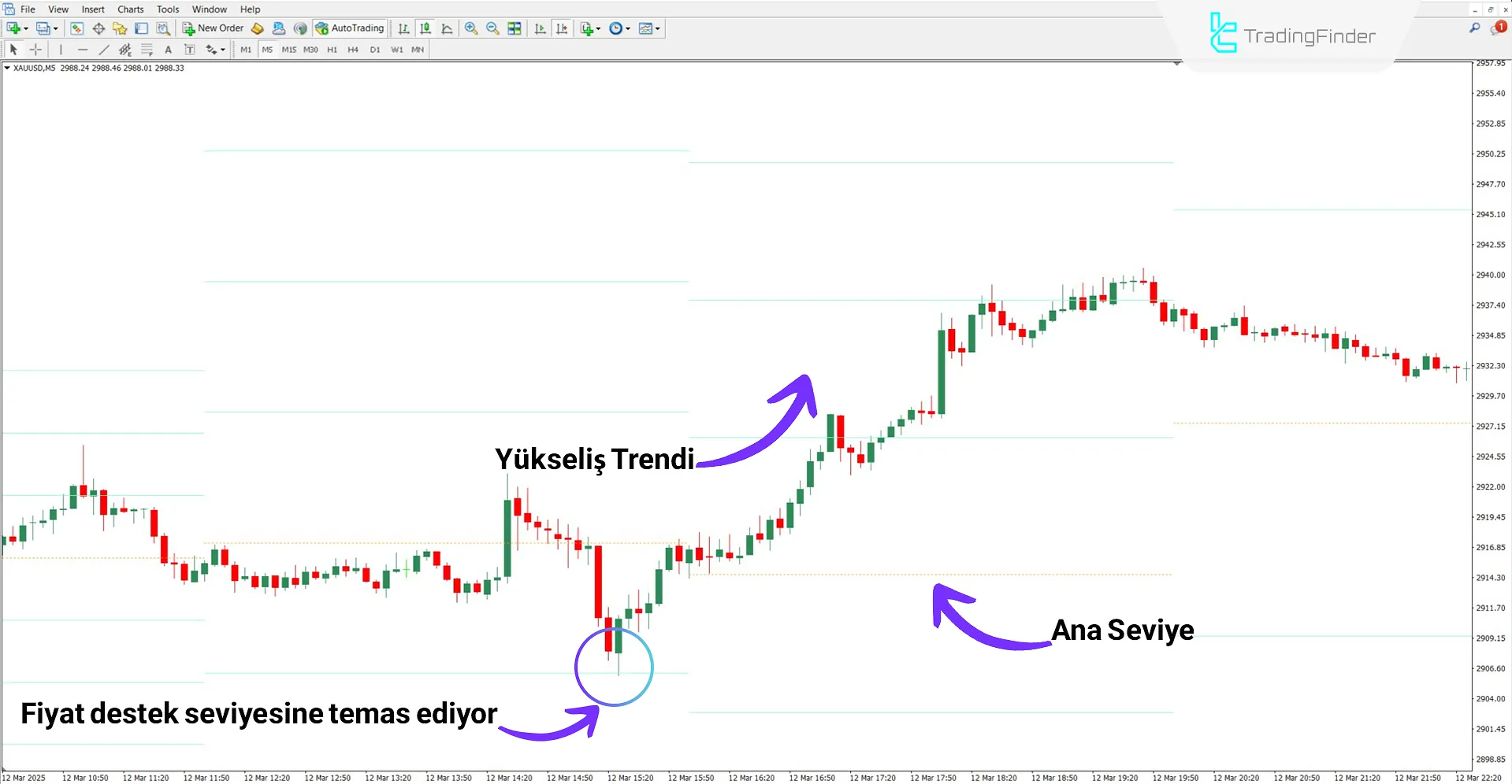 MFI Levels Göstergesi kullanılarak yukarı trend analizi