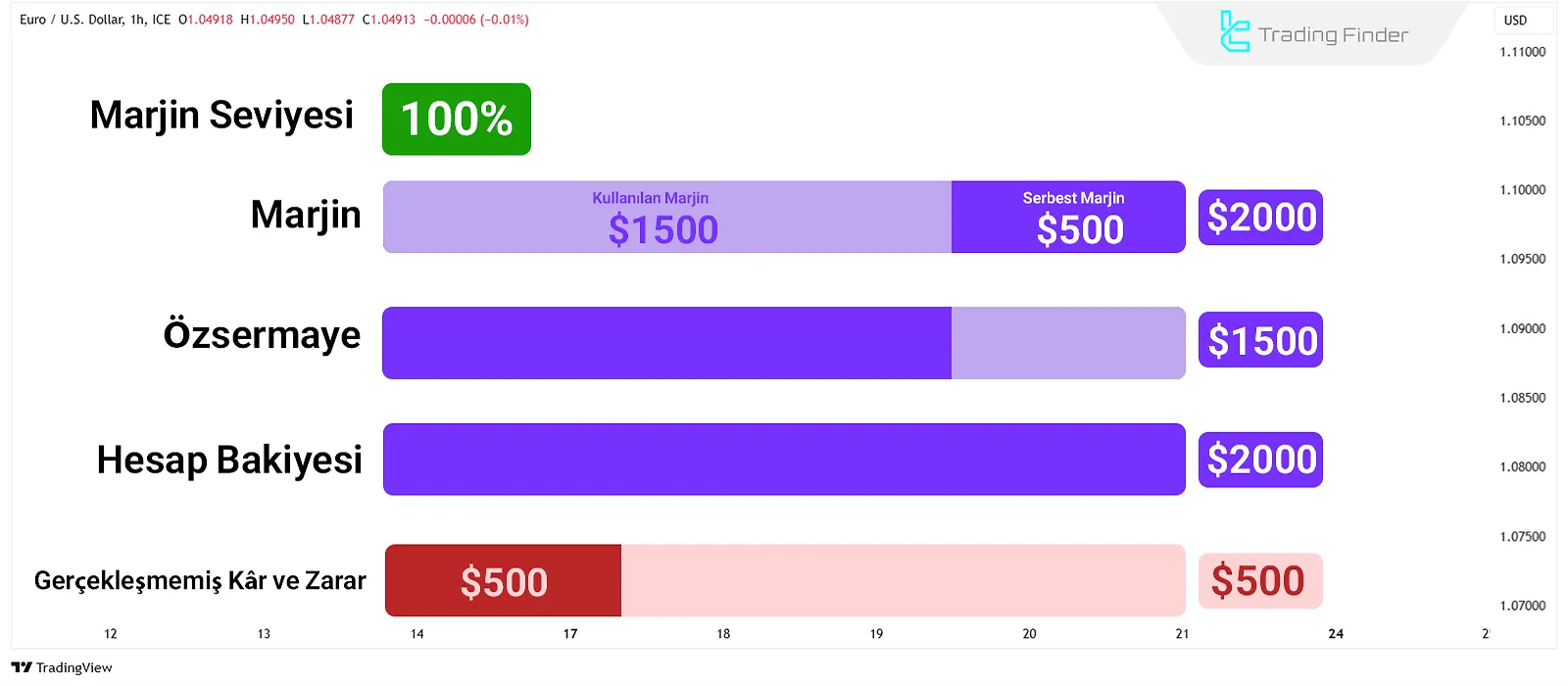 Kullanılan Marjin Bağlamında Marjin Çağrısı