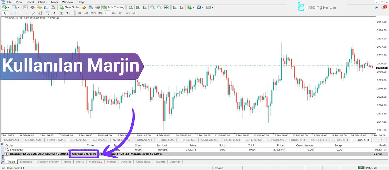 Kullanılan Marjin ve Serbest Marjin