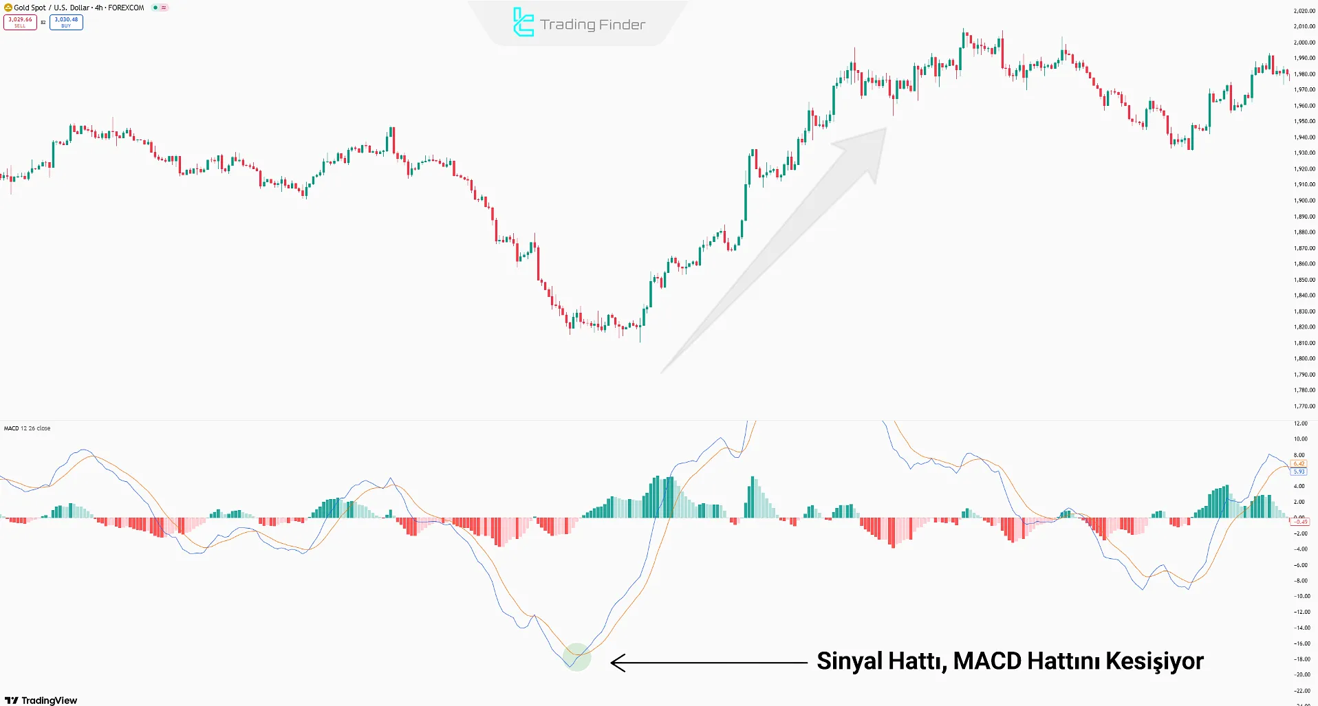 MACD Crossover Stratejisi
