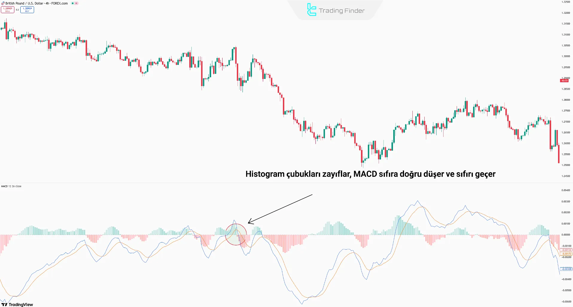 MACD Momentum Waves Stratejisi