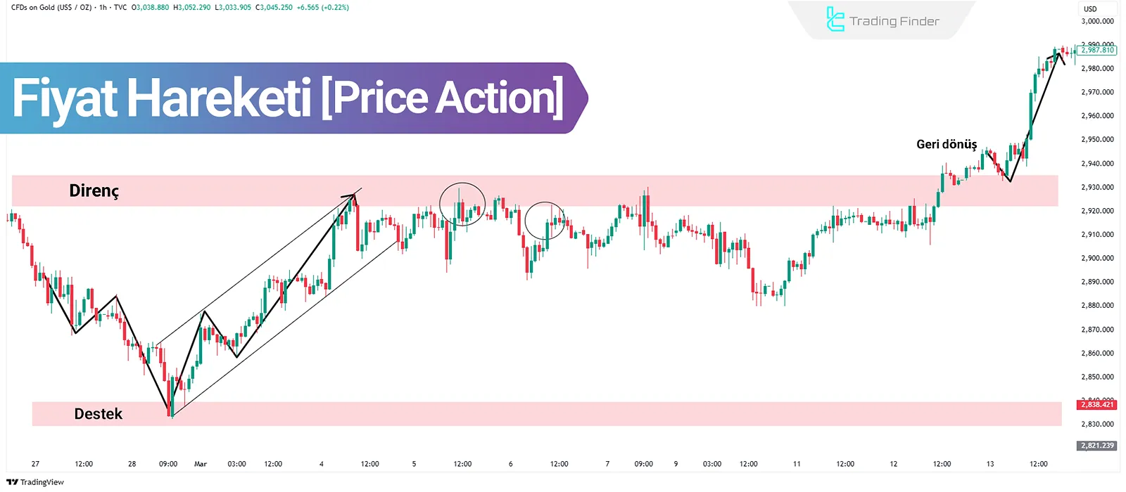 Fiyat Hareketi Eğitimi