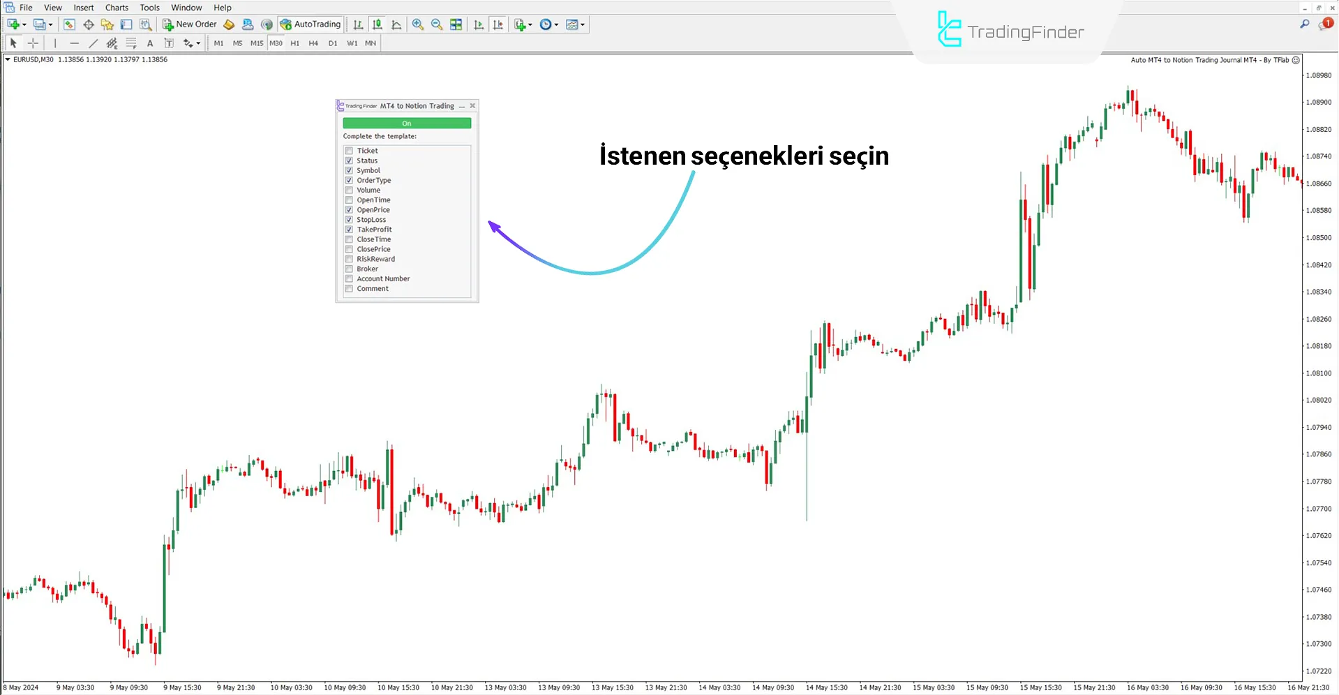 MT4’ten Notion’a Veri Aktarım Expert panelindeki seçenekler