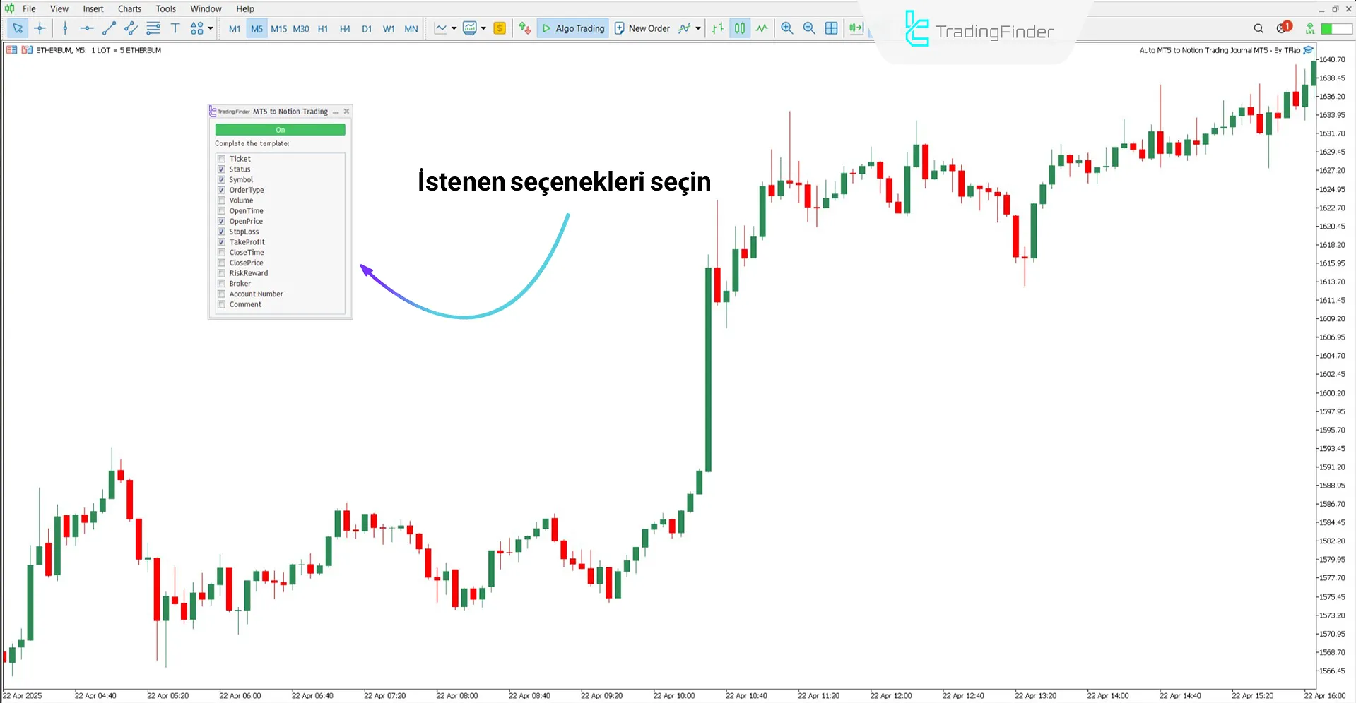 MT5’ten Notion’a Veri Aktarım Expert panelindeki seçenekler