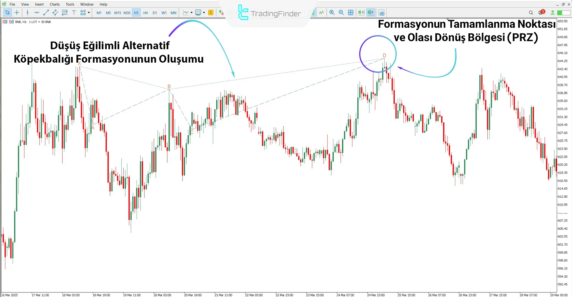 Alternate Shark Harmonik Desen Göstergesi MT5 İndir – Ücretsiz 2
