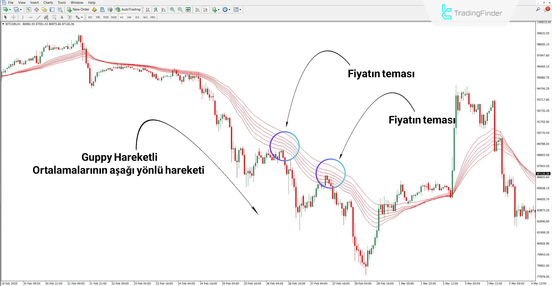 Guppy Multiple Hareketli Ortalama (GMMA) Göstergesi MT4 İndir 2