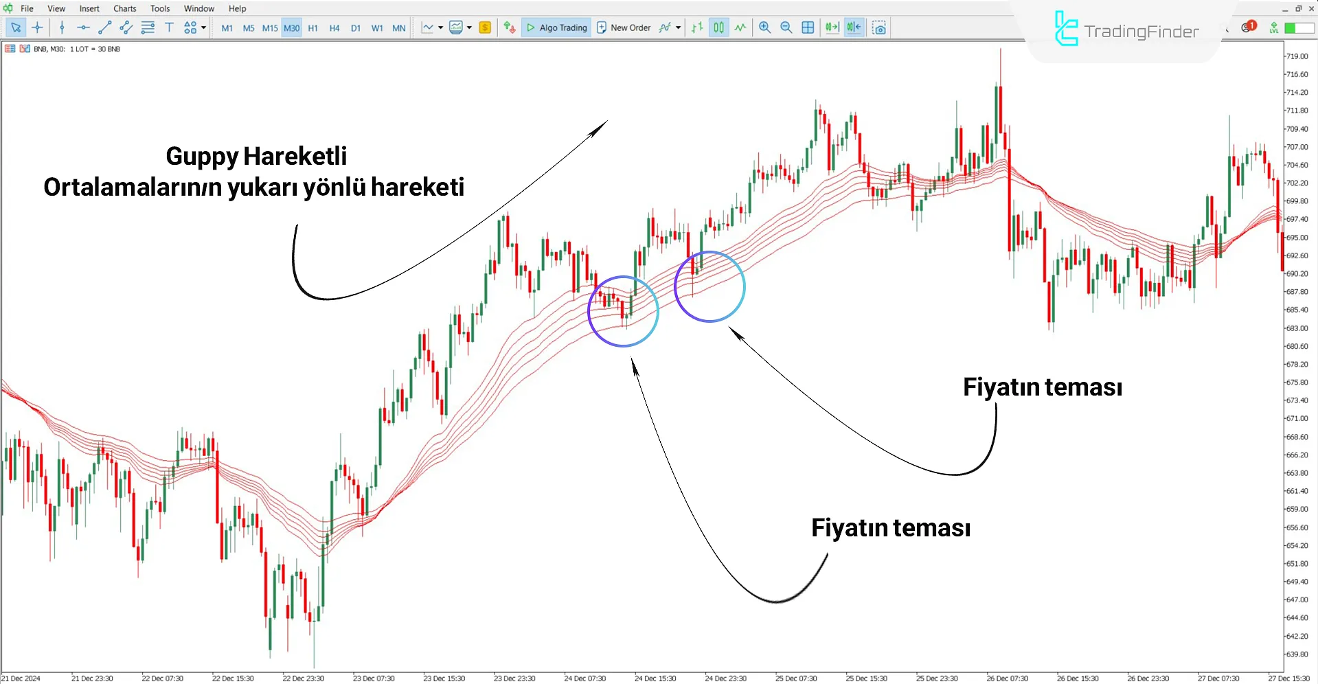 Guppy Multiple Hareketli Ortalama (GMMA) Göstergesi MT5 İndir 1
