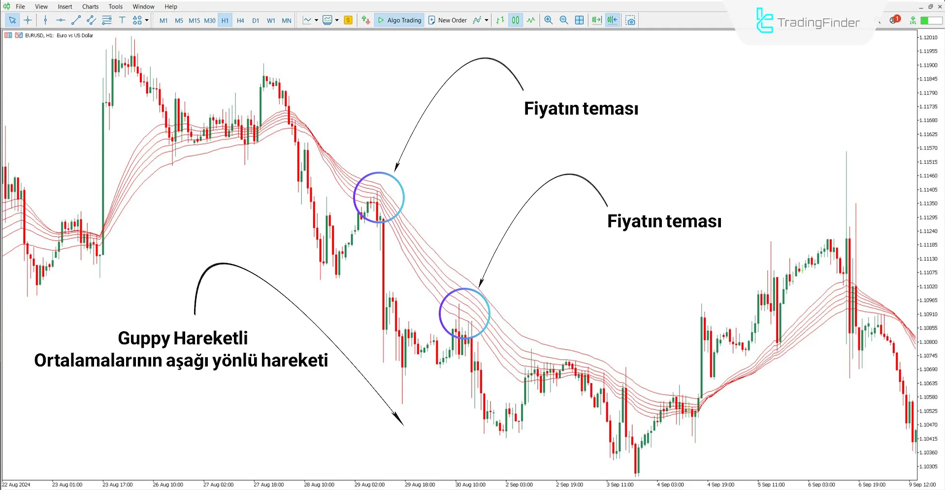 Guppy Multiple Hareketli Ortalama (GMMA) Göstergesi MT5 İndir 2