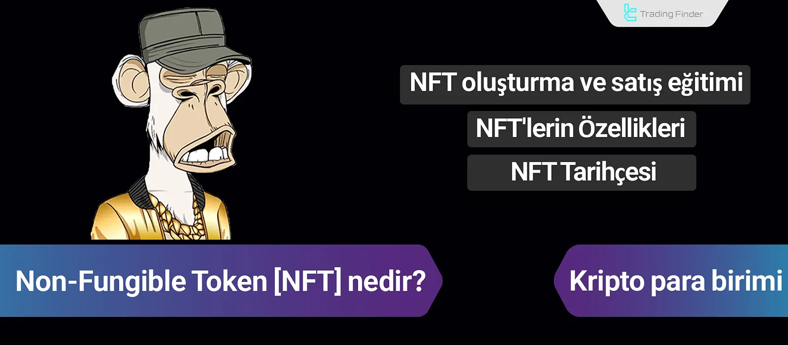 NFT (Non-Fungible Token)