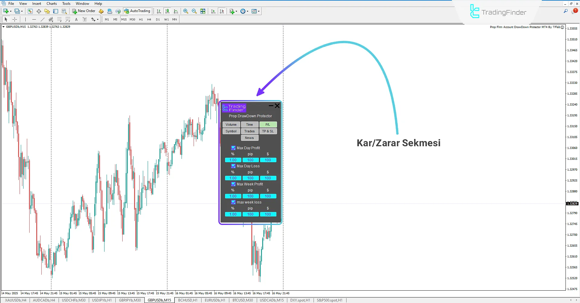 P/L Sekmesi (Profit/Loss)