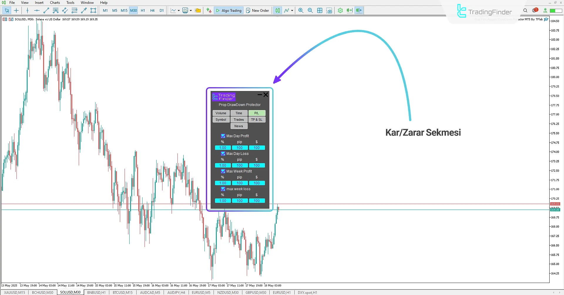 Kâr/Zarar Sekmesi (P/L)