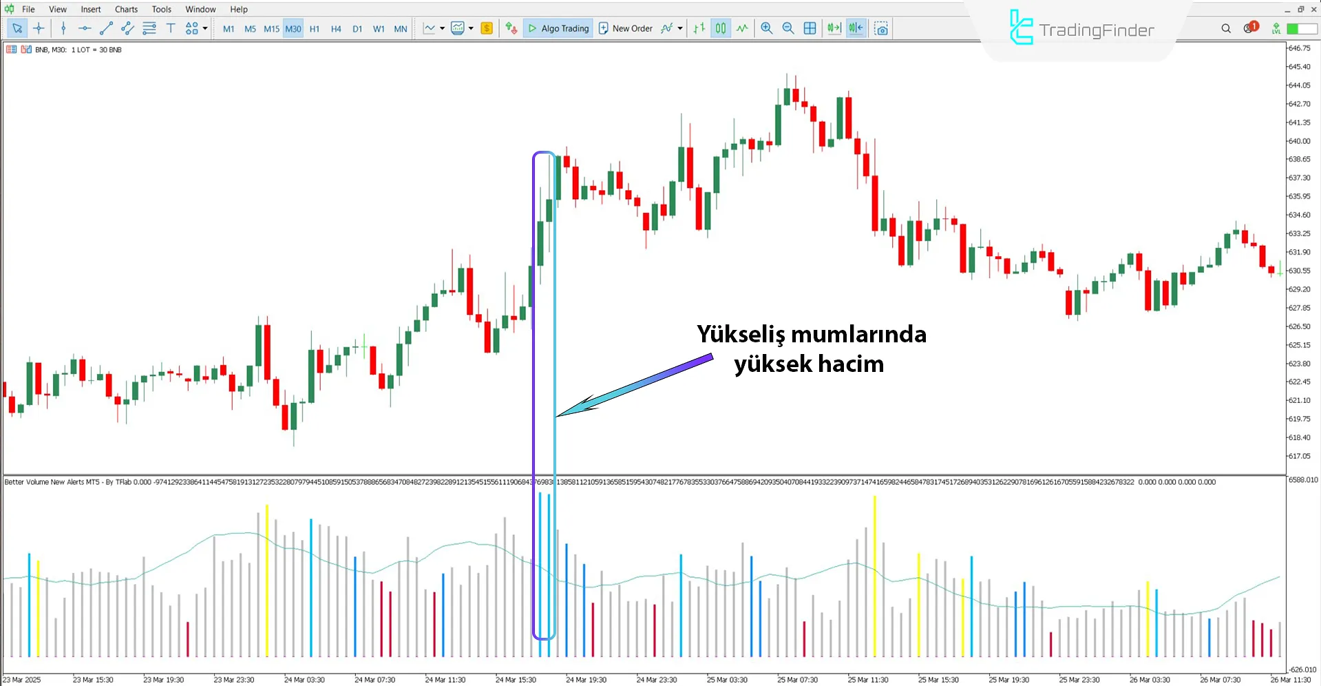 Uyarılarla birlikte Better Volume Osilatörü ile Yükseliş Trendinin Analizi