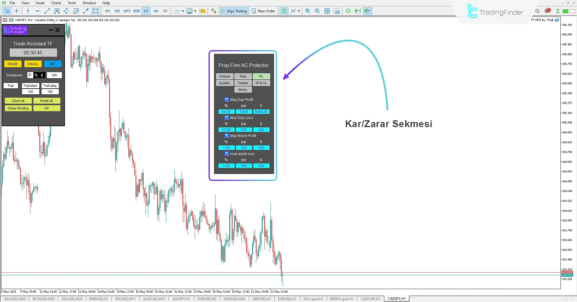 Trade Assist Prop Firm Plus TF Expert'da Profit/Loss (P/L) sekmesi