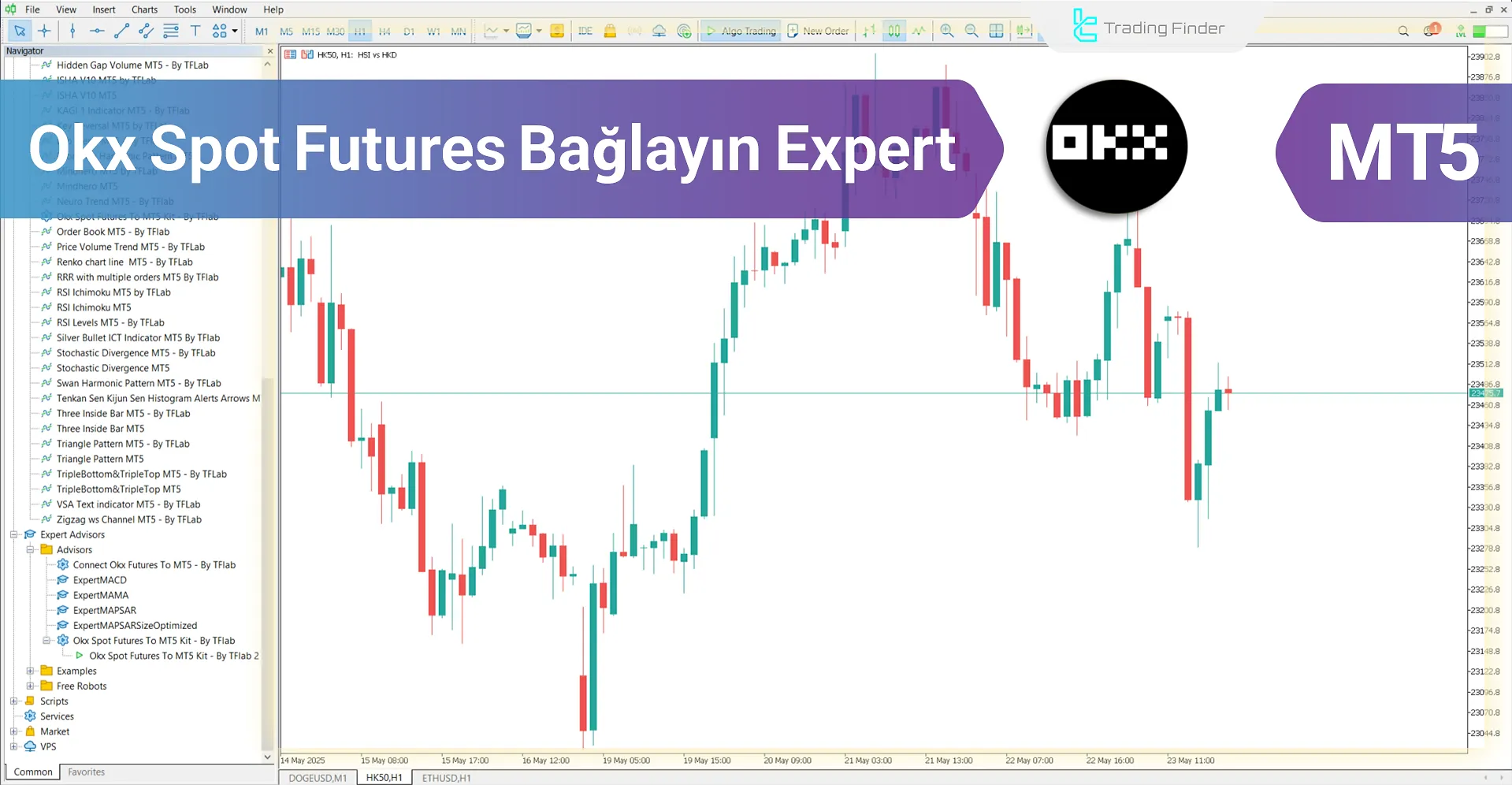 OKX Spot ve Futures  Bağlayın Expert MetaTrader 5 İndir - [TradingFinder]