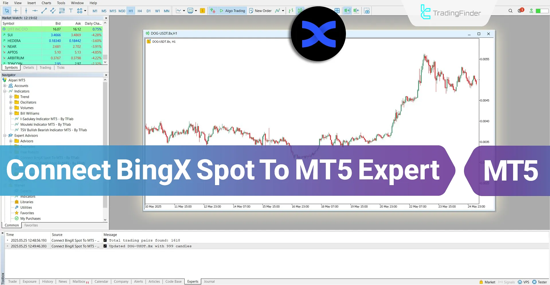 BingX Spot'u MT5'e Bağlama Servisi İndir – Ücretsiz – [TradingFinder]