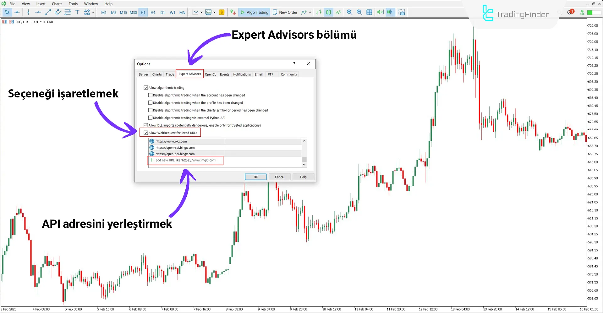 BingX Spot Futures MT5 Servisi İndir – Ücretsiz – [TradingFinder] 1