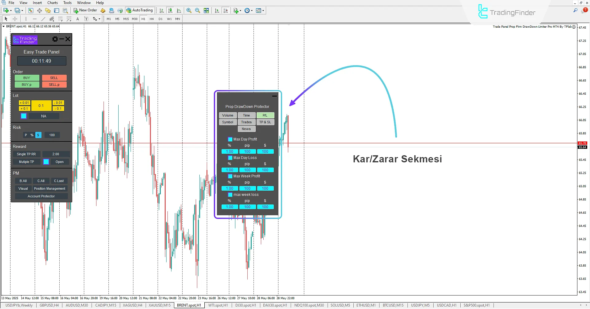 Trade Panel Prop Firm Drawdown Limiter Pro'da Kar/Zarar (P/L) Ayarlama Sekmesi