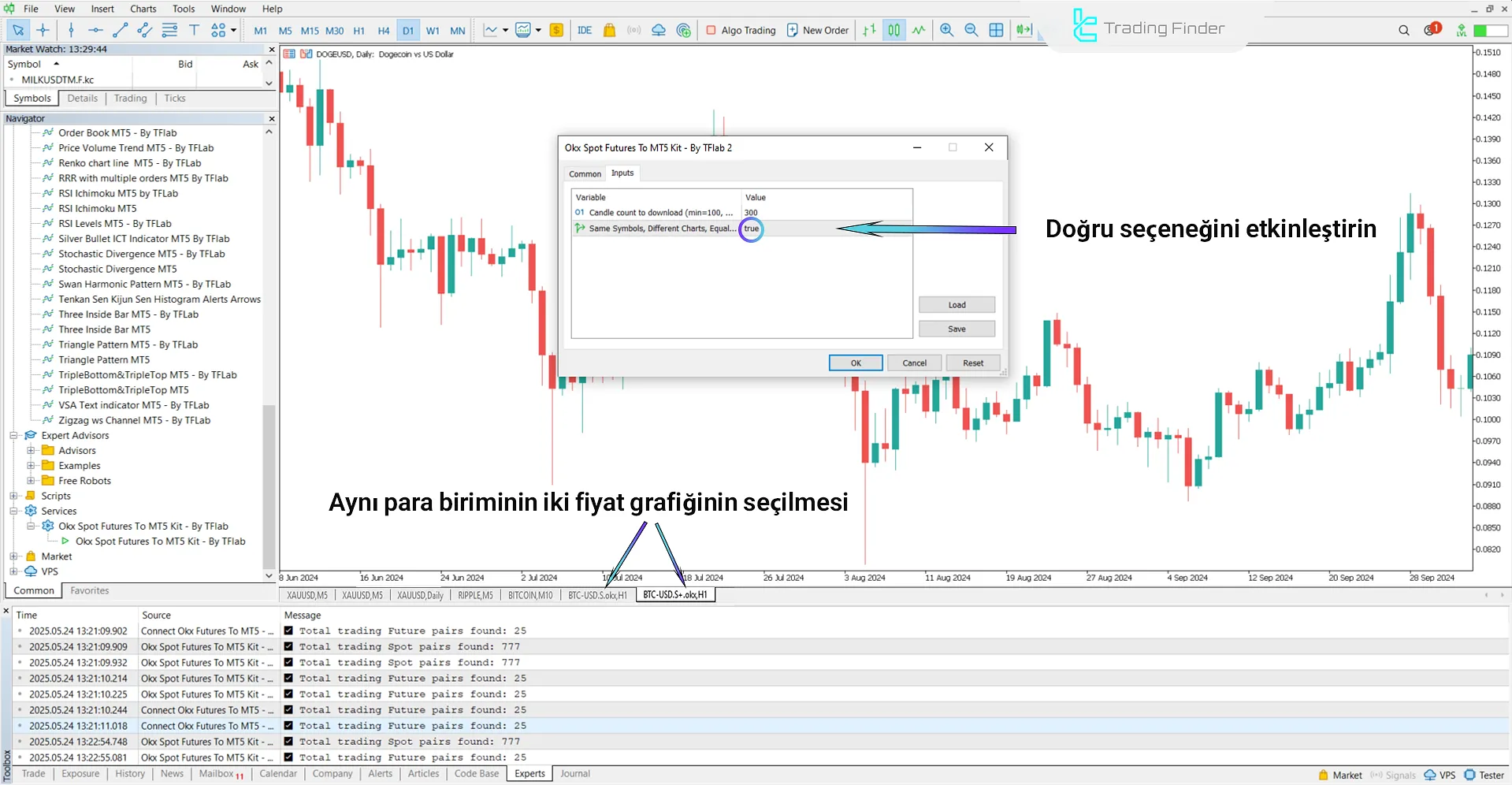 Seçeneğin (True) etkinleştirilmesiyle aynı varlığa ait iki veya daha fazla grafik eklenmesi