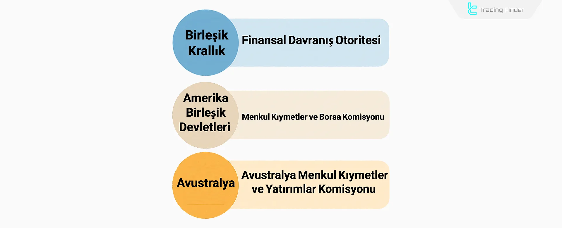 Finansal denetim otoriteleri