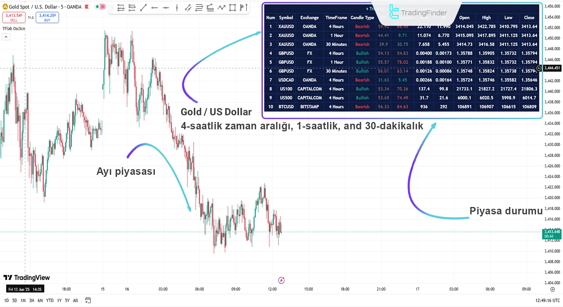 Birden fazla veri noktası sağlayan özel panel