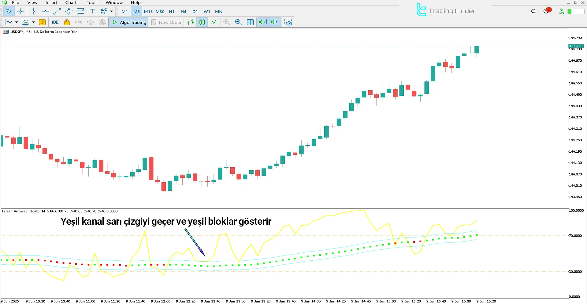 Tarzan Okları Göstergesinde Yükseliş Trend Koşulları