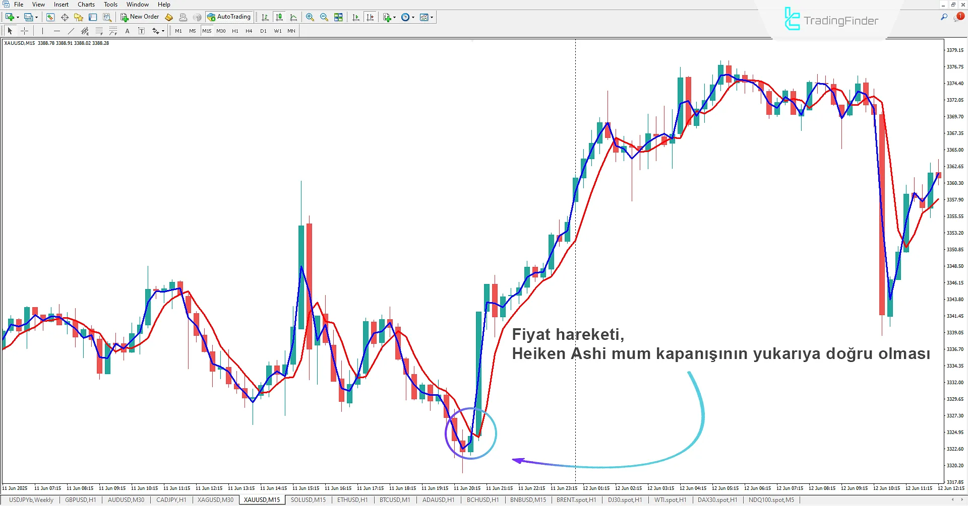 Heiken Ashi Real Göstergesi MetaTrader 4 İndir 1