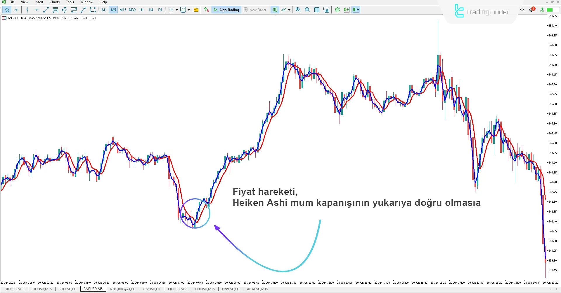 Heiken Ashi Real Göstergesi İndir MetaTrader 5 için 1