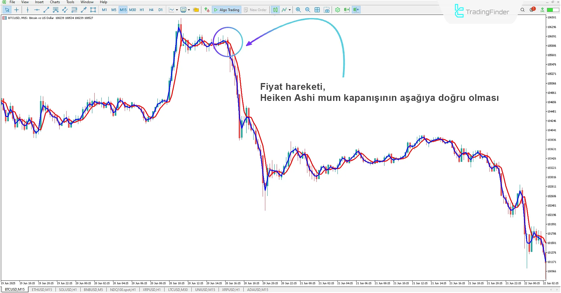 Heiken Ashi Real Göstergesi İndir MetaTrader 5 için 2