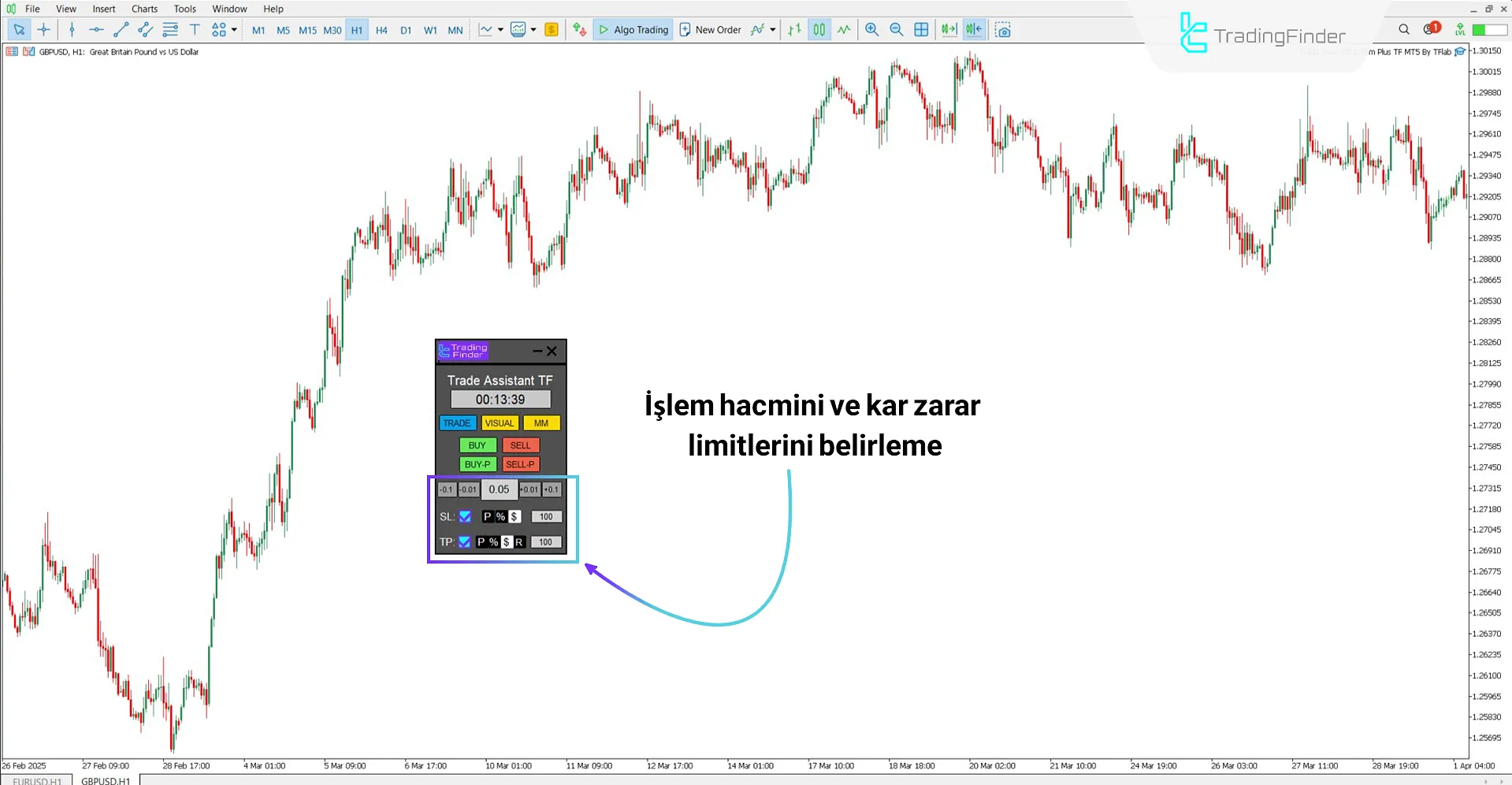 Sermayeye dayalı pozisyon büyüklüğü ayarı