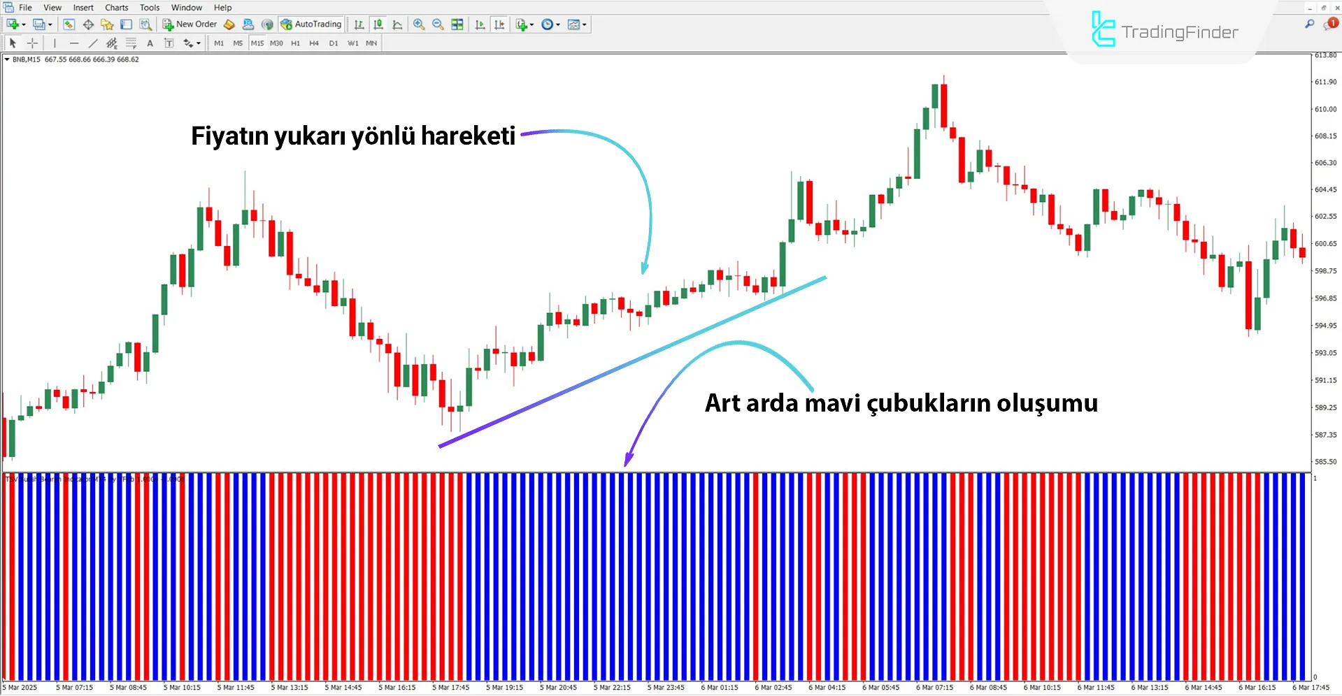 TSV Boğa Ayı Osilatörü bir yükseliş trendinde