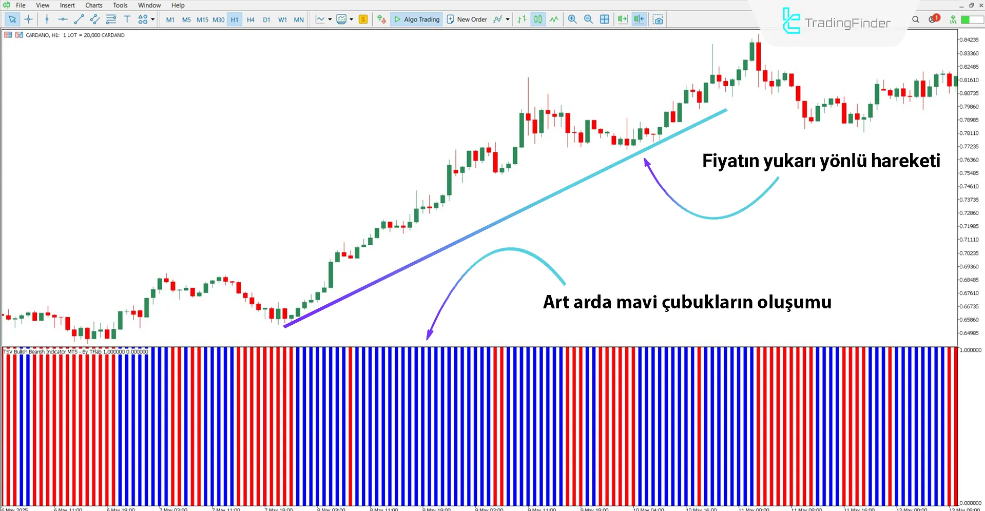 TSV Boğa Ayı Osilatörü ile boğa trendi analizi