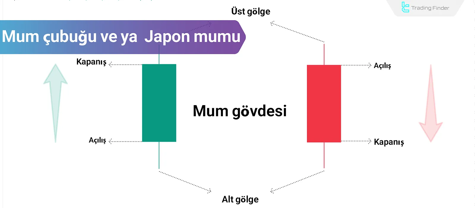 Mum veya Japon Mum Grafiği: Finansal Piyasaların Görsel Dili
