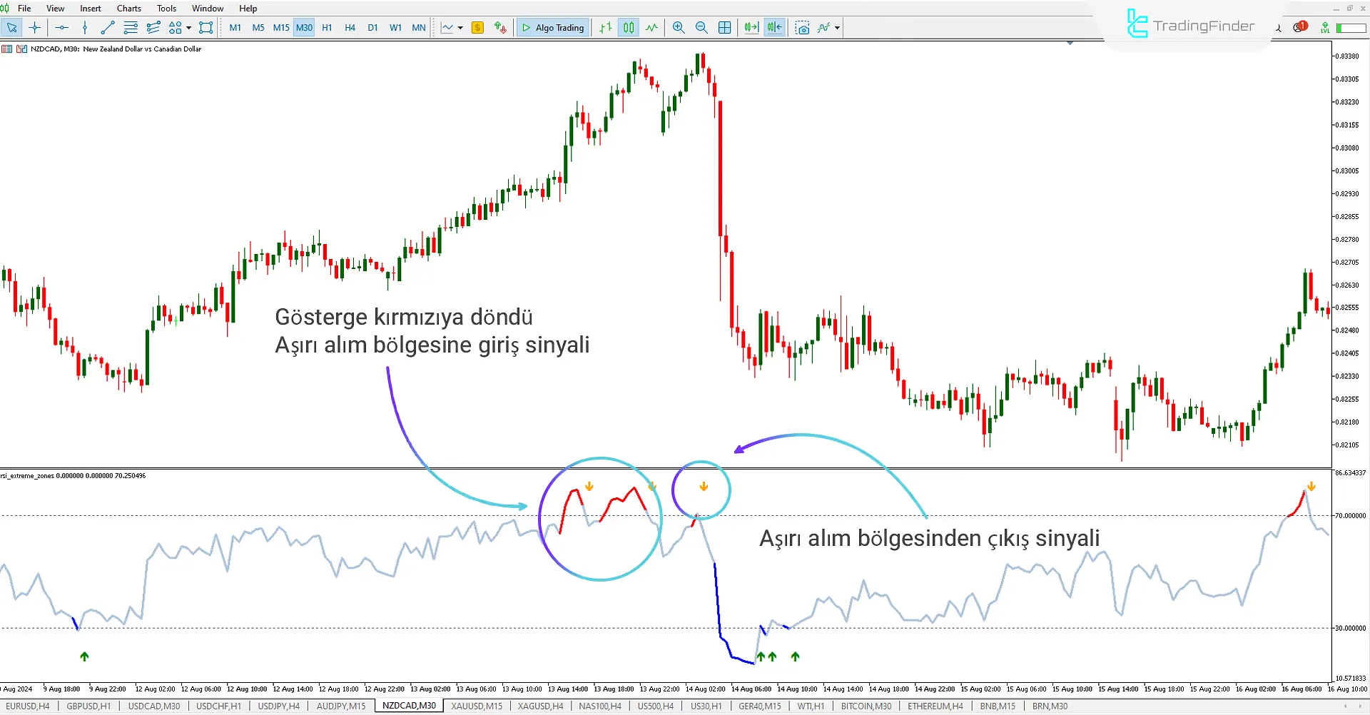 RSI Extreme Zones (RSI EZ) göstergesini MT5 için indirin - Ücretsiz 1