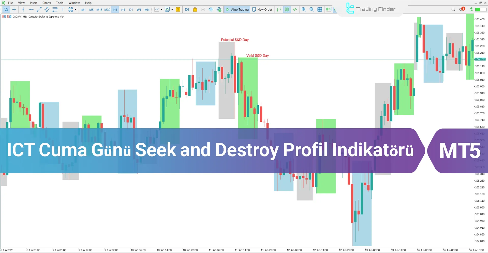 ICT Cuma Günü Seek and Destroy Profil Göstergesi MT5 - Ücretsiz - [TFlab]