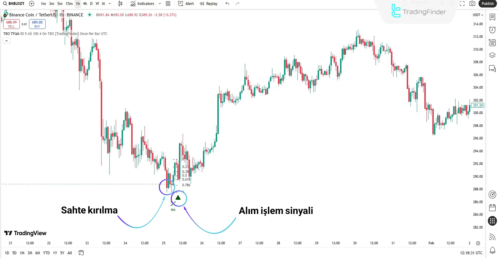 True Breakout Pattern göstergesi yardımıyla trend dönüşünü belirleme